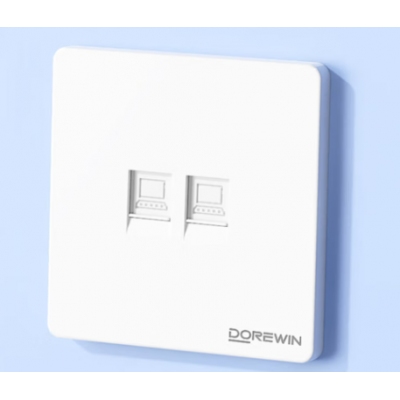 網(wǎng)絡(luò)面板 雙孔